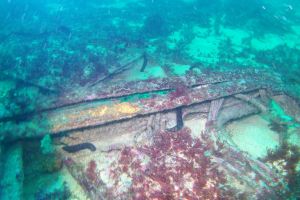 PECIO CASTTLEDORE - Lugo VIVEIRO España foto 7