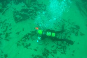 PECIO CASTTLEDORE - Lugo VIVEIRO España foto 8