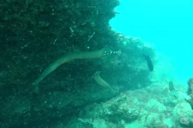 PLAYA DE JABLITO - Las Palmas Corralejo España