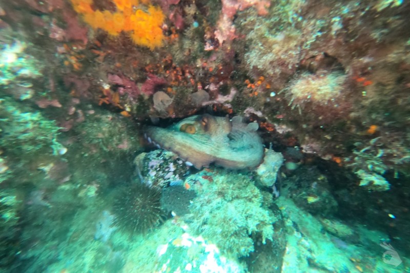 HACIA LA CUEVA DE LA VIRGEN - Granada Marina del este  España