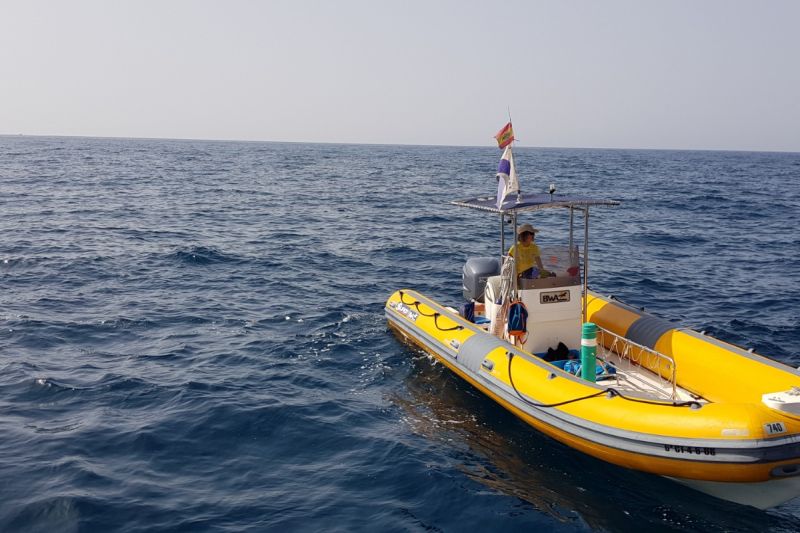 LOS ARCOS - SIERRA HELADA - ALICANTE - Alicante PUERTO DE VILLAJOYOSA España