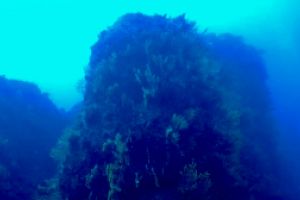 CANONS DE TAMARIU (CAÑONES DE TAMARIU) - Girona Palamós Spain foto 1