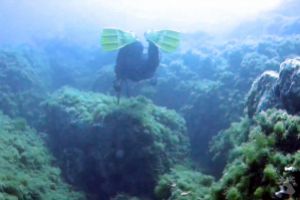 ILLES FORMIGUES ( ISLAS HORMIGAS ) - Girona Palamós Spain