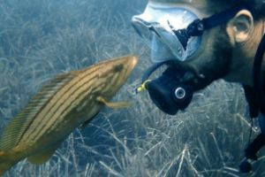 The Blue Jump Ecodiving S. L Foto 3