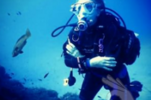 The Blue Jump Ecodiving S. L Foto 5