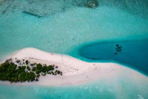 Drop dive Maldives rasdhoo  2 | MADIVARU CÓRNER  -  Rasdhoo Maldives foto 5