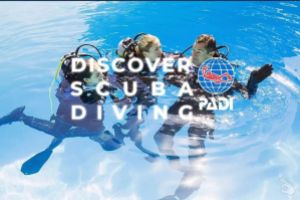 Descubre el mundo submarino - Bautizo de Buceo