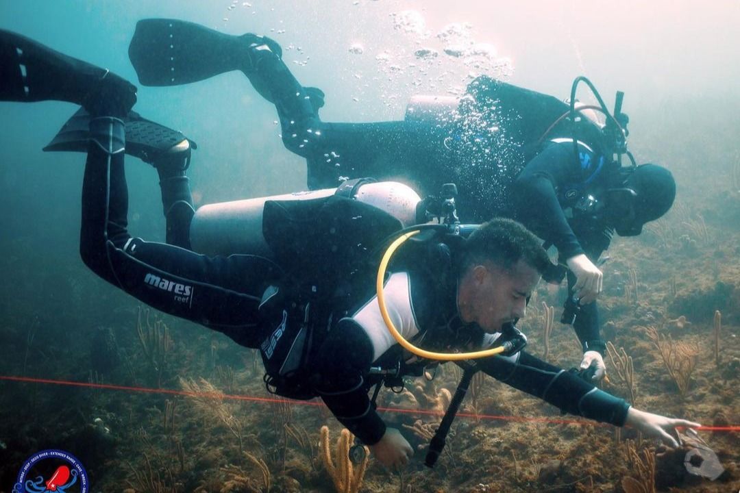 CURSO DE OPEN WATER EN LA HABANA