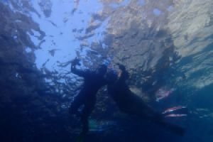 DIVING CENTER POSEIDON ROSES Foto 5