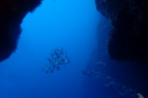 DIVING CENTER POSEIDON ROSES Foto 11