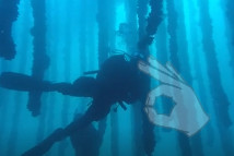 BATEA DE ALDAN - Pontevedra Bueu España