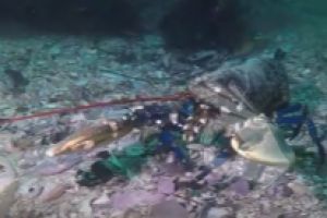 FARO MOURISCA - Pontevedra Bueu España