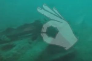 PECIO CORDERO GONZÁLEZ - Pontevedra Bueu España