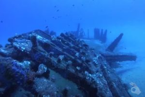 PECIO PETER VAN DANCING - MALLORCA - Baleares Felanitx Spain foto 4