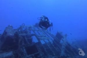 PECIO PETER VAN DANCING - MALLORCA - Baleares Felanitx Spain foto 5