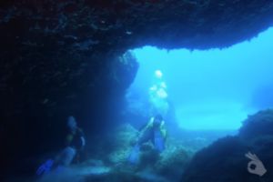 CALA LLITERAS - MALLORCA - BALEARES - Baleares Cala Lliteres Spain foto 4
