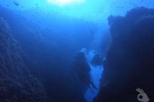 FARALLÓ DE CALA GAT . CALA RATJADA. RESERVA DE LLEVANT - Baleares Cala Gat España foto 1