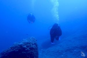  EL TORO - CALVIÀ- RESERVA EL TORO - Baleares PUERTO ADRIANO Spain foto 1