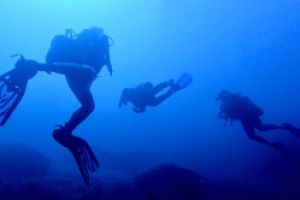  EL TORO - CALVIÀ- RESERVA EL TORO - Baleares PUERTO ADRIANO Spain foto 13