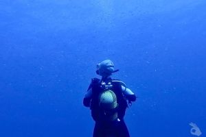  EL TORO - CALVIÀ- RESERVA EL TORO - Baleares PUERTO ADRIANO Spain foto 14