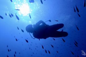  EL TORO - CALVIÀ- RESERVA EL TORO - Baleares PUERTO ADRIANO Spain foto 15