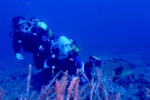  EL TORO - CALVIÀ- RESERVA EL TORO - Baleares PUERTO ADRIANO Spain foto 6