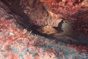 CALA LLITERAS - MALLORCA - BALEARES - Baleares Cala Agulla Spain foto 5