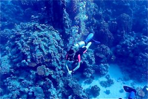 ABU DABBAB III -  Marsa alam Egipto foto 8