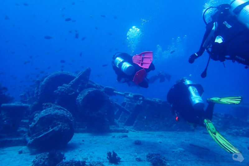 THISTLEGORM - ESTRECHO DE GÜBAL - EGIPTO  -  Sharm el sheij Egipto