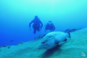 LIQUID PLANET DIVE CENTER Foto 2