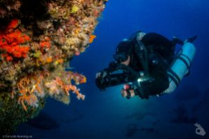 LIQUID PLANET DIVE CENTER Foto 1