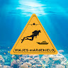 Viajes mARdEhIELO - Ofertas Viajes Buceo