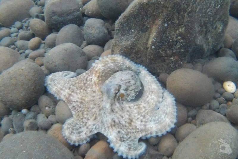 CALA DEL FARO PUERTO DE MAZARRÓN - Murcia Puerto de Mazarrón España