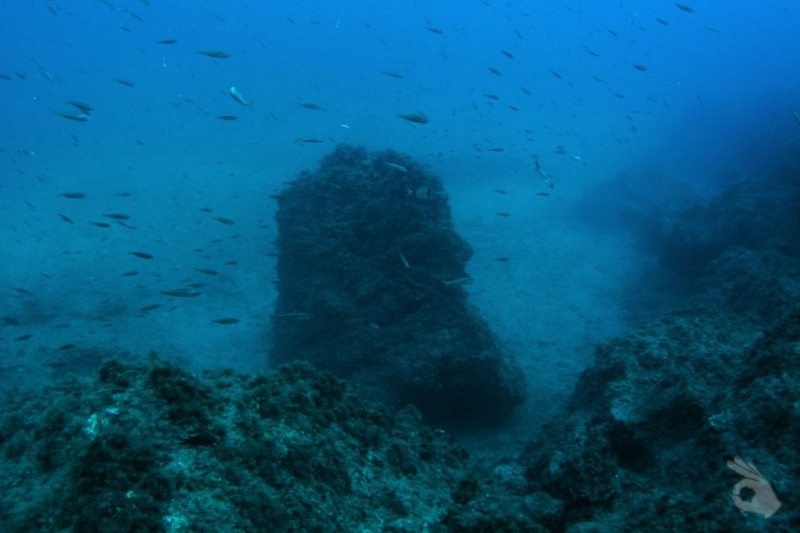 RESERVA MARINA DE CABO TIÑOSO. CALA CERRADA - Murcia Puerto de Mazarrón España