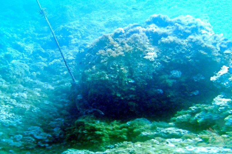 RESERVA MARINA DE CABO TIÑOSO. CALA MUÑOZ - Murcia Puerto de Mazarrón España