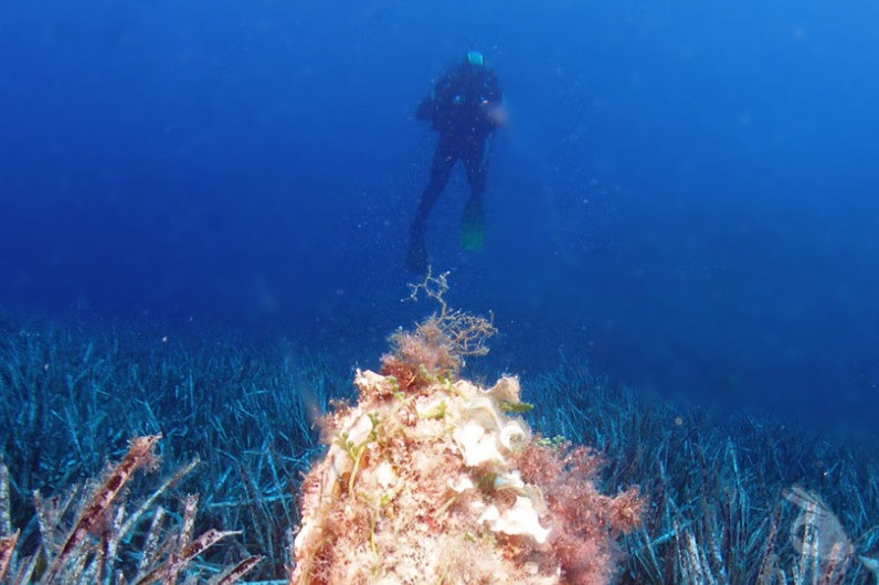 RESERVA MARINA DE CABO TIÑOSO. MINA DE CRISTAL - Murcia Puerto de Mazarrón España