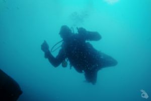 Curso PADI Discover local diving ( Bautismo)