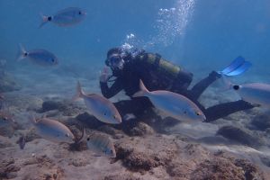 Pro Dive Lanzarote Foto 8