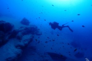 Pro Dive Lanzarote Foto 19