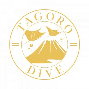 TAGORO DIVE