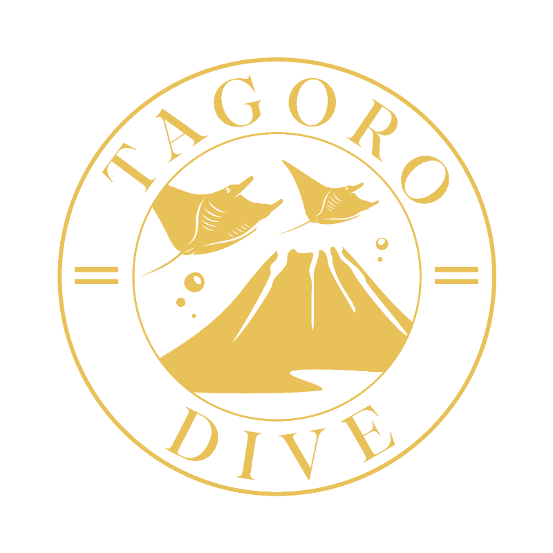 TAGORO DIVE
