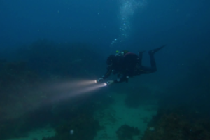 AbyssTek Divers Foto 12