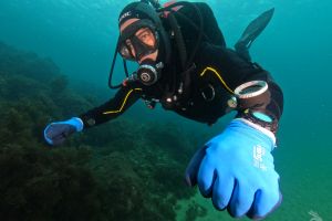 AbyssTek Divers Foto 4