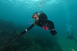 AbyssTek Divers Foto 6