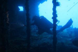 Scuba and Chill Foto 1