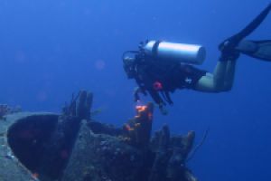 Scuba and Chill Foto 8