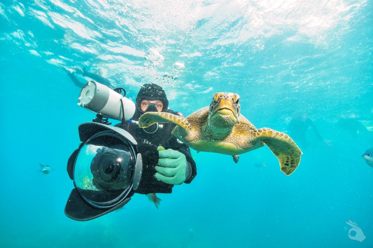 CURSO INTRODUCCIÓN A LA FOTOGRAFÍA SUBMARINA 