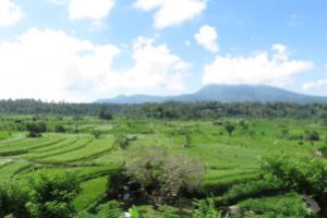 BALI – FIN DE AÑO Foto 5