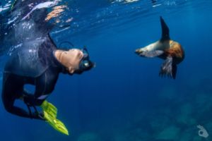 BAJA CALIFORNIA SUR - ESPECIAL BIOLOGÍA MARINA Foto 10
