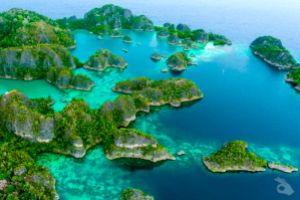 RAJA AMPAT – MARZO I 2027 Foto 5
